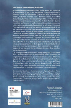 Fait aérien, arme aérienne et culture