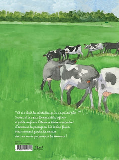 Terre ferme