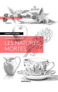 Carnet d'études - Les natures mortes