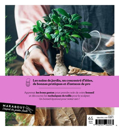 Soins et culture du bonsaï