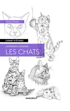 Carnet d'études - Les chats
