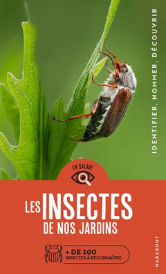 En balade - Les insectes de nos jardins