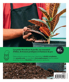 Plantes d'intérieur