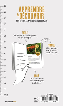 En balade - Les champignons des sous bois