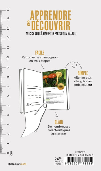 En balade - Les champignons des sous bois