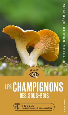 En balade - Les champignons des sous bois