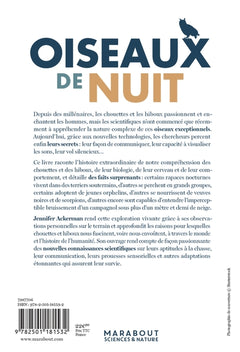 Oiseaux de nuit