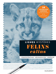 Félins câlins
