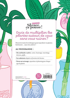 Les minis Silence ça pousse ! Je multiplie mes plantes à l'infini