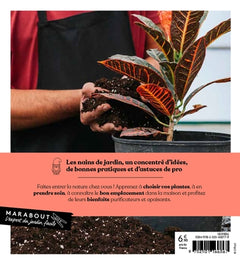 Plantes d'intérieur