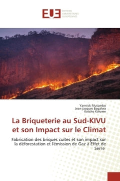 La briqueterie au Sud-KIVU et son impact sur le climat
