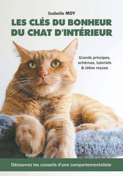 Les clés du bonheur du chat d'intérieur
