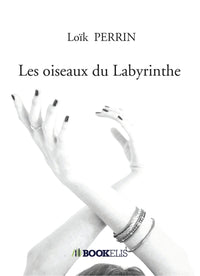 Les oiseaux du labyrinthe