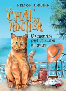 Le chat du rocher