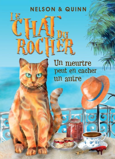 Le chat du rocher