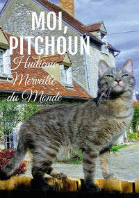 Moi, Pitchoun