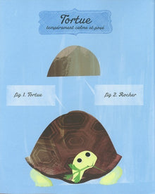 Le Lièvre et la Tortue