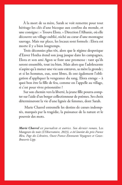 Nous sommes faits d'orage