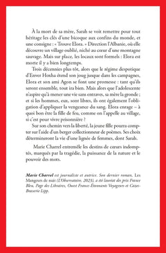 Nous sommes faits d'orage
