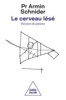 Le cerveau lésé