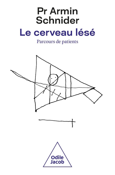 Le cerveau lésé