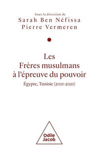 Les Frères musulmans à l'épreuve du pouvoir