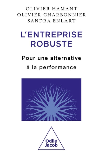 L'entreprise robuste