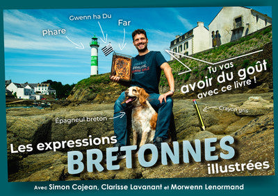 Les expressions bretonnes illustrées