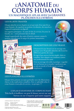L'Anatomie du Corps Humain