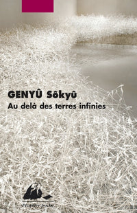AU-DELA DES TERRES INFINIES