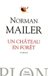 Un château en forêt