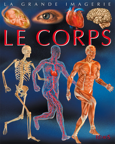 Le corps humain