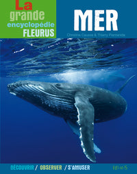 Mer