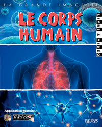 Le corps humain