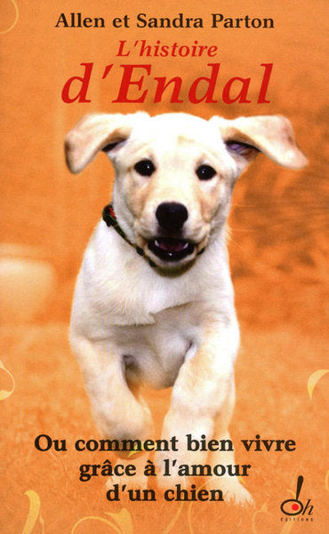 L'histoire d'Endal ou comment bien vivre grâce à l'amour d'un chien