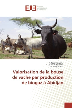 Valorisation de la bouse de vache par production de biogaz A Abidjan