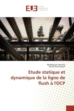 Etude statique et dynamique de la ligne de flush A l'OCP