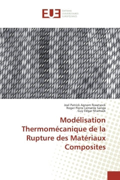 Modelisation thermomecanique de la rupture des materiaux composites