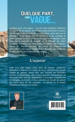Quelque part,une vague...