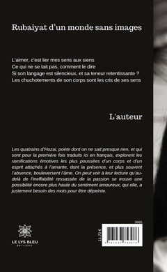 Rubaiyat d'un monde sans images