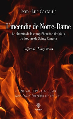 L'incendie de Notre-Dame