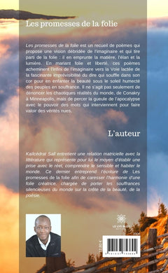 Les promesses de la folie
