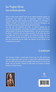 La Vague Grise