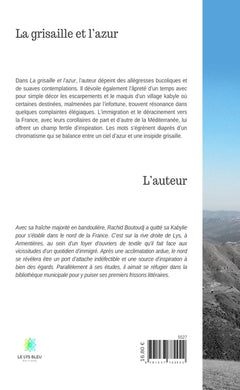 La grisaille et l'azur