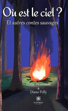 Où est le ciel ?