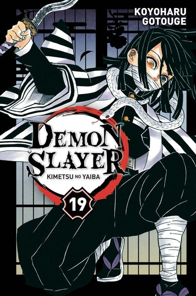 Demon Slayer - Coffret (T17 + Roman N°01)