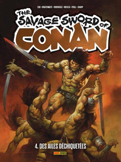 Savage Sword of Conan T04 : Des ailes déchiquetées