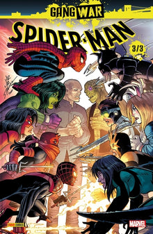 Spider-Man : Gang War