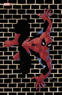 Marvel Comics N°20 (Variant - Tirage limité)