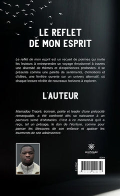 Le reflet de mon esprit